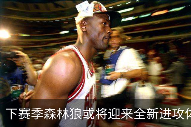 下赛季森林狼或将迎来全新进攻体系